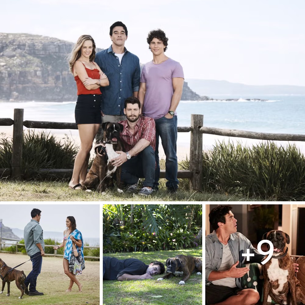 Home and Away cast pay tribute after popular pet star passes away